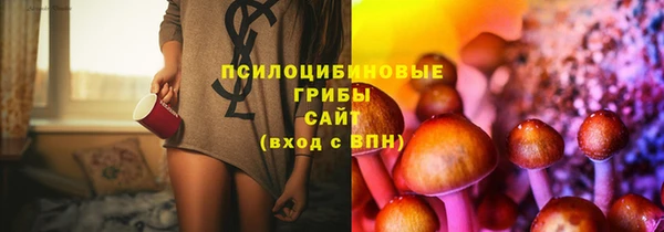 сатива Алексин