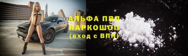 шишки Алзамай