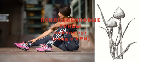 apvp Протвино
