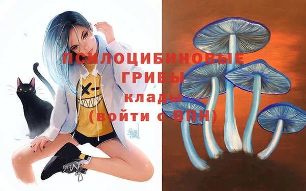 сатива Алексин