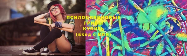 дживик Алексеевка