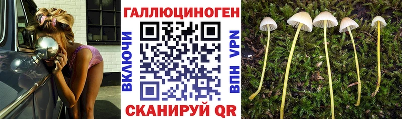 Галлюциногенные грибы MAGIC MUSHROOMS  Багратионовск 